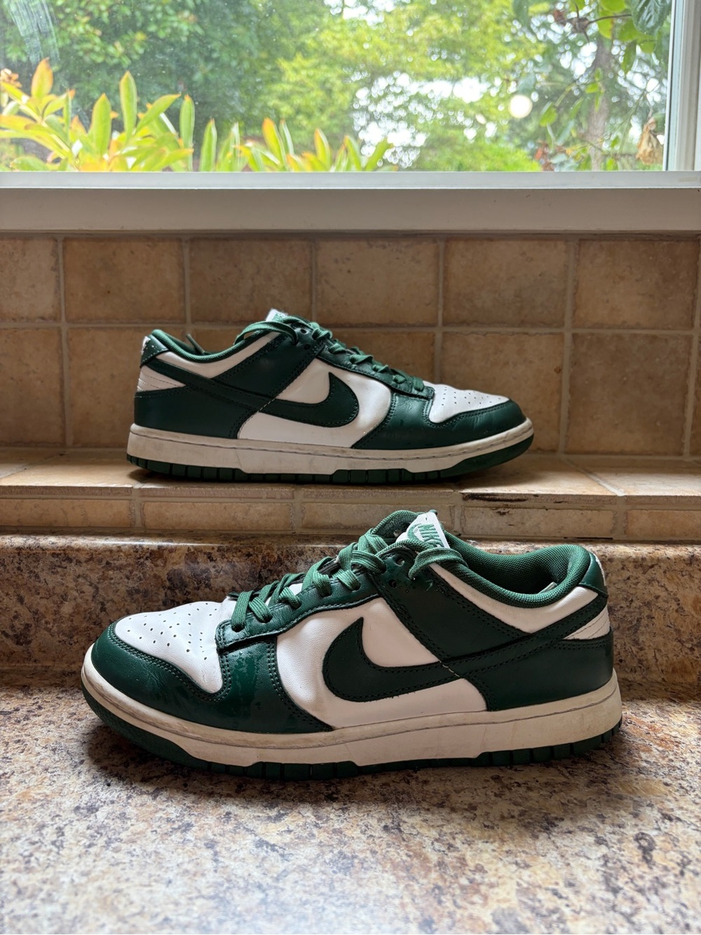 Nike Dunk Low Michigan